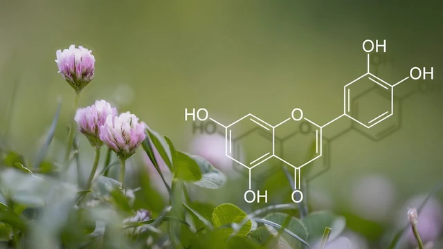 bai-viet/luteolin-la-gi-cong-dung-loi-ich-suc-khoe-va-nhung-dieu-can-biet.html
