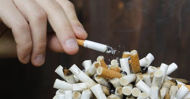 bai-viet/ly-do-vi-sao-bi-benh-vay-nen-39253.html