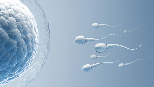 bai-viet/mat-bao-lau-de-tinh-trung-gap-trung-cach-tang-kha-nang-tinh-trung-thu-tinh-voi-trung.html