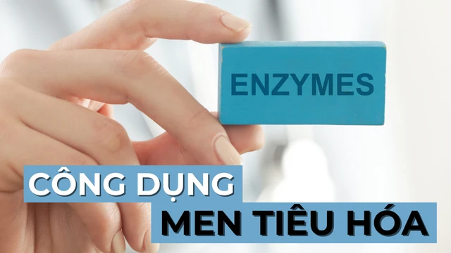 bai-viet/cac-loai-men-tieu-hoa-va-cong-dung-cua-chung.html