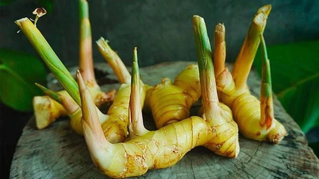 bai-viet/meo-tri-lang-beng-bang-cu-rieng-co-hieu-qua-khong.html