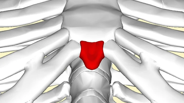 bai-viet/mo-ac-la-gi-vi-tri-cua-xuong-mo-ac-va-cac-benh-ly-lien-quan.html