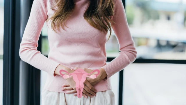 bai-viet/moi-am-ho-va-nhung-thong-tin-phai-dep-nen-biet.html