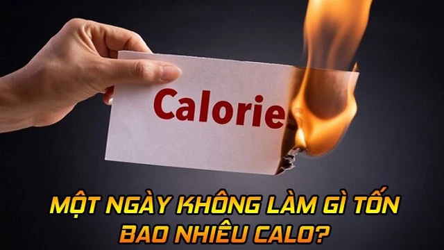 bai-viet/mot-ngay-khong-lam-gi-ton-bao-nhieu-calo.html