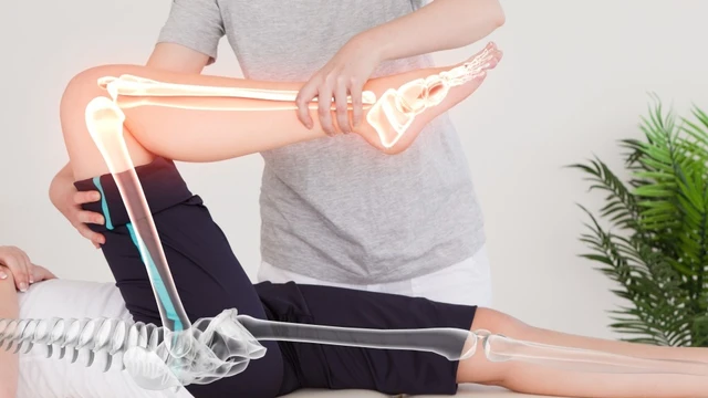 bai-viet/mot-so-dac-diem-giai-phau-xuong-chi-duoi.html