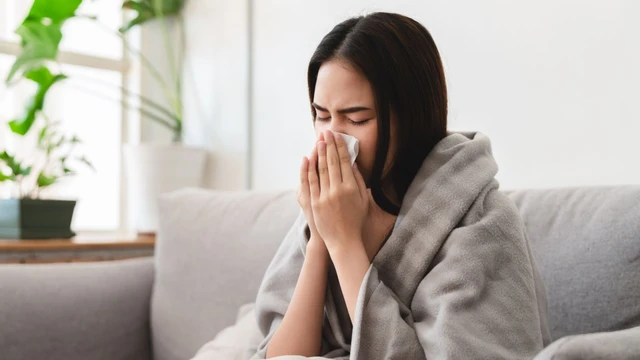 Mùa cúm tháng mấy? Thời điểm cúm mùa dễ bùng phát trong năm