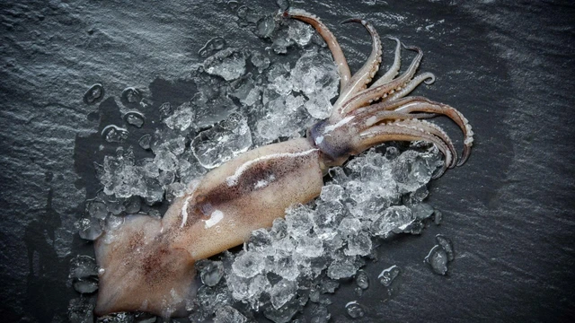 Mực xà là mực gì? Giá trị dinh dưỡng và lợi ích đối với sức khỏe