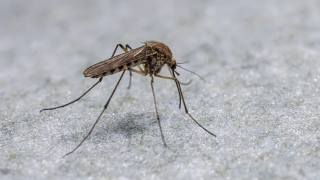 bai-viet/muoi-chan-dai-nguy-hiem-nhu-the-nao-cach-phong-ngua-hieu-qua.html