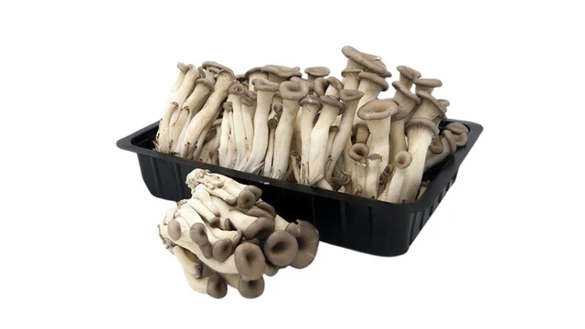 bai-viet/nam-yen-thanh-phan-dinh-duong-loi-ich-suc-khoe-va-cach-dung-dung.html