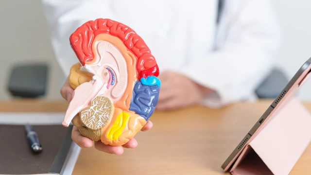 bai-viet/u-nang-rathke-tuyen-yen-la-gi-mot-so-thong-tin-ve-benh-u-nang-rathke-tuyen-yen.html