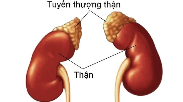 bai-viet/nang-tuyen-thuong-than-tim-hieu-nguyen-nhan-va-phuong-phap-dieu-tri.html