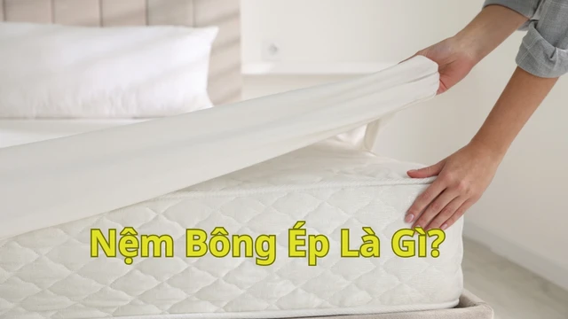 bai-viet/nem-bong-ep-la-gi-chon-dung-de-ngu-khoe-do-dau-lung.html