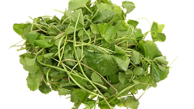 bai-viet/nen-mua-bot-rau-ma-o-dau-de-dam-bao-an-toan-cho-suc-khoe.html