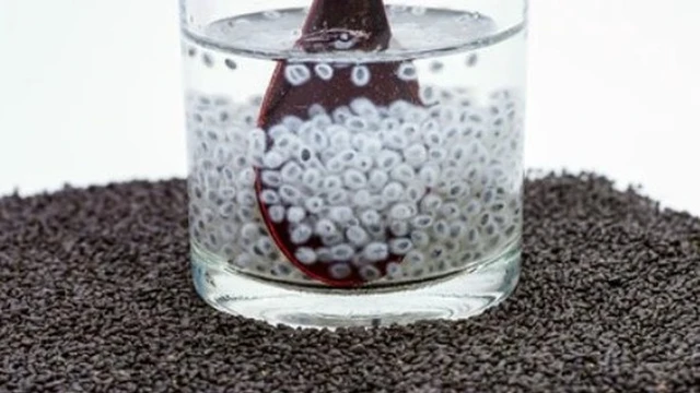 bai-viet/nen-ngam-hat-e-bang-nuoc-nong-hay-lanh-cach-lam-nuoc-hat-e-giai-nhiet-ngay-he.html