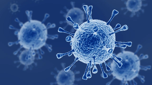 bai-viet/nga-phat-trien-vac-xin-phong-virus-marburg.html