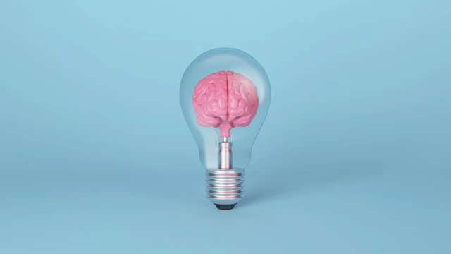 bai-viet/nghien-cuu-cho-thay-bat-binh-dang-xa-hoi-anh-huong-den-qua-trinh-lao-hoa-nao-va-chung-mat-tri.html