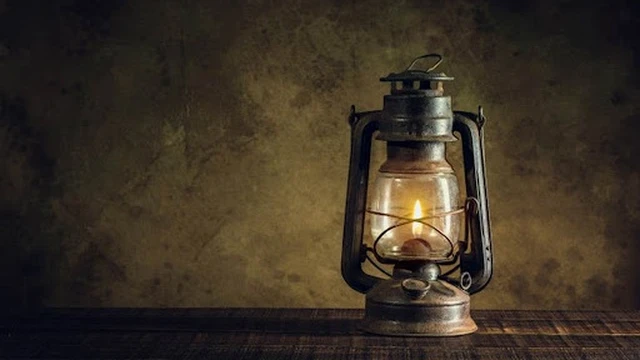 bai-viet/ngo-doc-dau-hoa-va-cach-so-cuu-nhanh-khi-mac-phai-56749.html