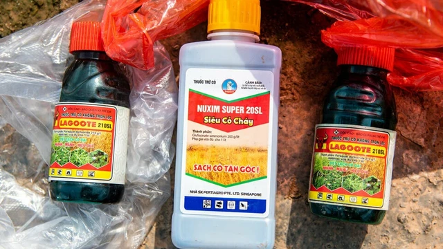 bai-viet/ngo-doc-glufosinate-gay-ra-trieu-chung-gi-cach-de-phong-ngua-57084.html