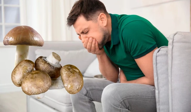 bai-viet/ngo-doc-nam-bieu-hien-nhan-biet-cach-dieu-tri-va-phong-ngua-56370.html