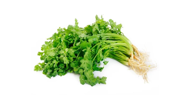 bai-viet/ngo-ri-co-tac-dung-gi-luu-y-quan-trong-khi-dung-ngo-ri.html