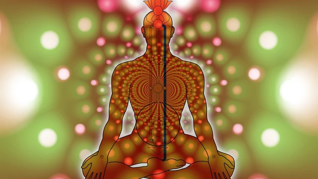 bai-viet/ngoai-cam-luc-dam-va-nhung-dieu-can-biet-de-cham-soc-suc-khoe-tot-hon.html