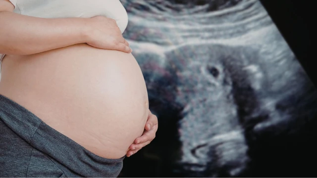 bai-viet/ngoi-thai-co-dinh-o-tuan-bao-nhieu-dau-hieu-ngoi-thai-co-dinh.html