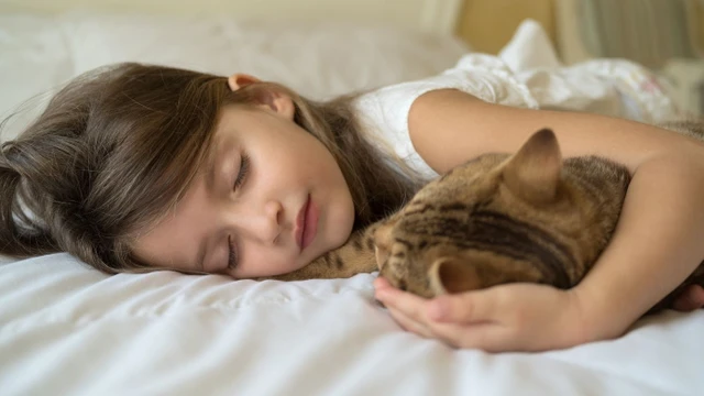 bai-viet/ngu-voi-meo-co-sao-khong-loi-ich-va-rui-ro-can-biet.html