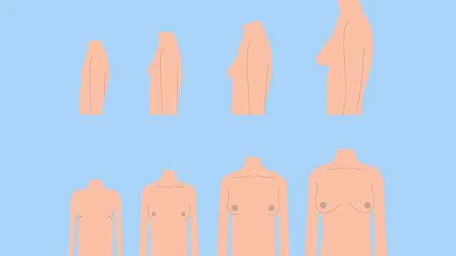 bai-viet/nguc-con-gai-tuoi-day-thi-qua-trinh-phat-trien-nhu-the-nao.html