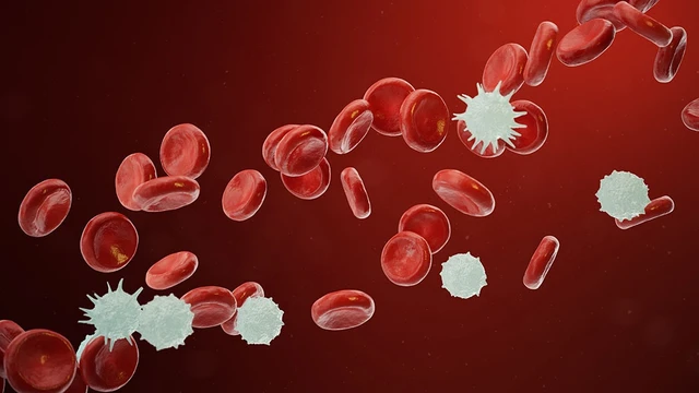 bai-viet/nguoi-benh-ung-thu-mau-giai-doan-3-song-duoc-bao-lau.html