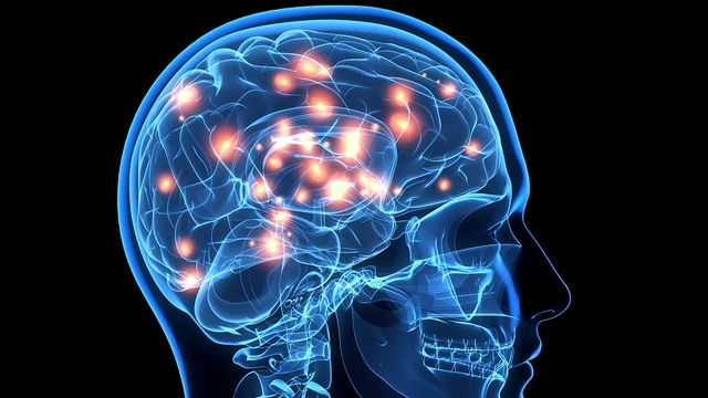 bai-viet/nguoi-bi-u-nao-giai-doan-cuoi-co-the-song-duoc-bao-lau.html