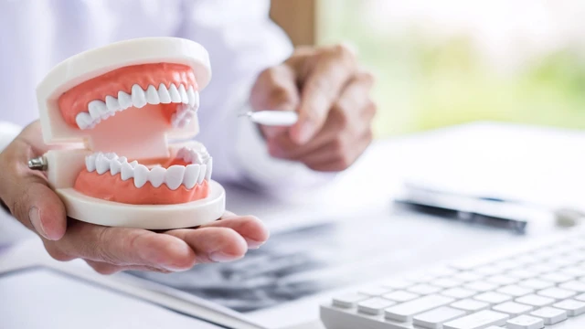 bai-viet/nguoi-binh-thuong-co-bao-nhieu-cai-rang-yeu-to-quyet-dinh-so-luong-rang.html