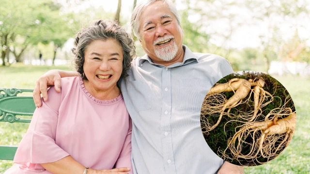 bai-viet/nguoi-cao-tuoi-uong-sam-co-tot-khong-tac-dung-cua-nhan-sam-doi-voi-nguoi-cao-tuoi.html