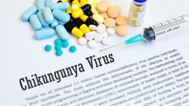 bai-viet/nguy-hiem-tu-virus-chikungunya-bung-phat-khien-who-phat-canh-bao-khan-cap-1.html