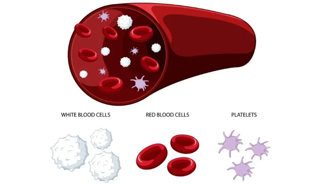 bai-viet/nguyen-nhan-gay-giam-tieu-cau-thuong-gap.html