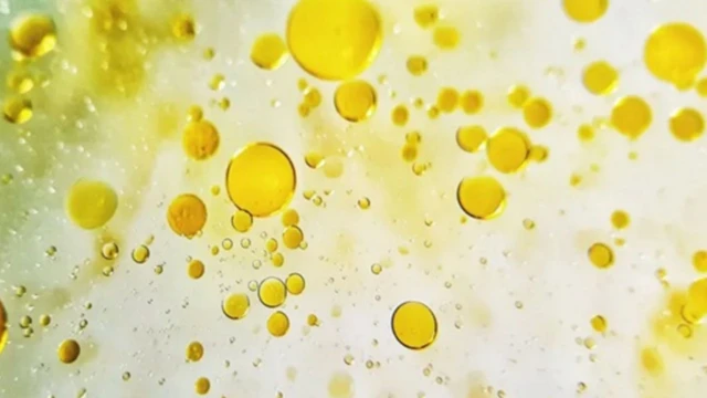 bai-viet/nguyen-nhan-gay-hien-tuong-dai-ra-duong-chap-va-cach-xu-tri-tinh-trang-nay-ban-nen-biet.html