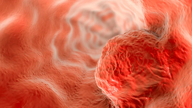 bai-viet/nguyen-nhan-gay-ung-thu-va-cac-yeu-to-lam-tang-nguy-co-mac-benh.html