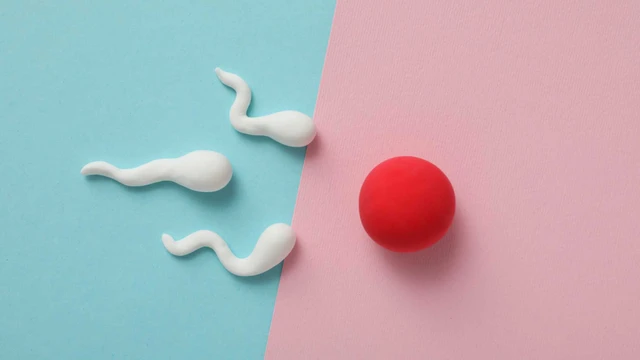 Nguyên nhân gây vô sinh ở nam giới là gì? Dấu hiệu cảnh báo