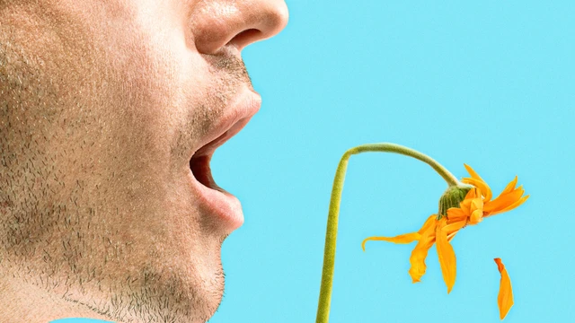 bai-viet/10-nguyen-nhan-hoi-mieng-ban-da-biet-cach-xu-ly-chua.html