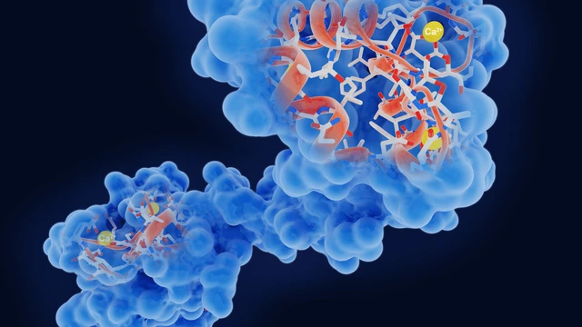 bai-viet/nguyen-nhan-men-gan-cao-la-gi-cach-ngan-ngua-men-gan-cao.html