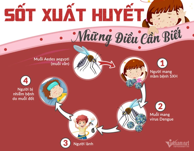 bai-viet/nguyen-nhan-trieu-chung-va-cach-chua-tri-sot-xuat-huyet-cho-be-duoi-1-tuoi-45667.html