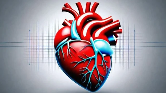 bai-viet/nguyen-nhan-vi-sao-chi-so-homocysteine-cao-lam-tang-nguy-co-benh-tim.html