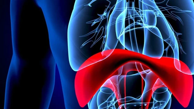 bai-viet/co-hoanh-co-tac-dung-gi-tinh-trang-co-that-o-co-hoanh.html