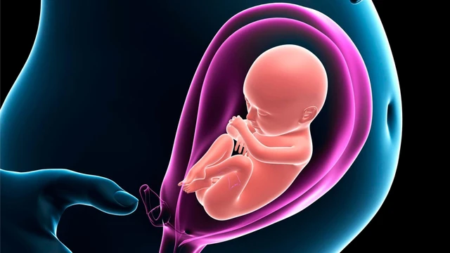 bai-viet/nhiem-parvovirus-khi-mang-thai-co-anh-huong-den-thai-nhi-khong.html