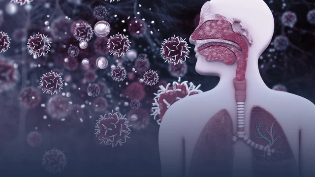 bai-viet/nhiem-trung-duong-ho-hap-o-nguoi-lon-nguyen-nhan-do-dau.html