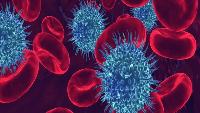 bai-viet/nhiem-trung-mau-do-virus-nguyen-nhan-trieu-chung-va-muc-do-nguy-hiem.html