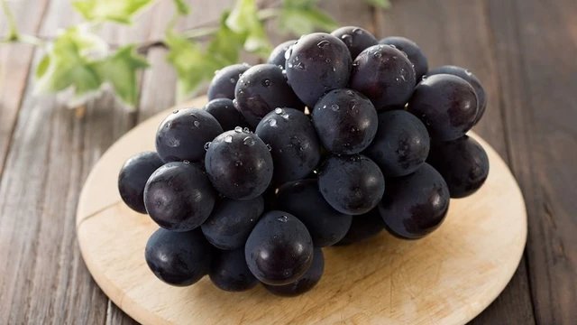 bai-viet/nho-kyoho-nhung-loi-ich-bat-ngo-cua-giong-nho-den-cao-cap.html