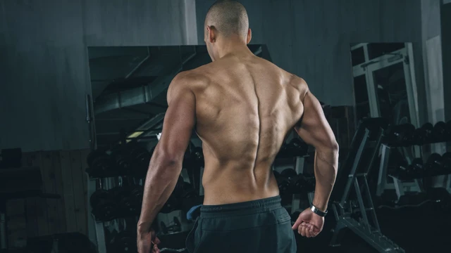 bai-viet/nhom-co-cau-vai-la-gi-nguyen-tac-khi-tap-nhom-co-cau-vai.html