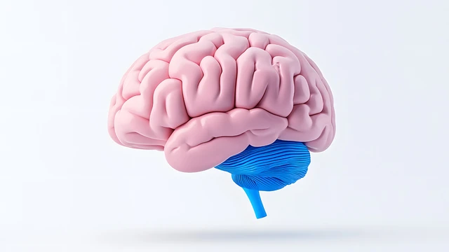 benh/nhun-nao-25.html