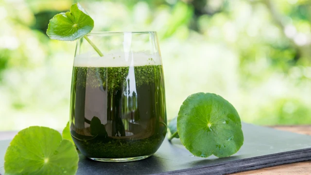 bai-viet/nhung-ai-khong-nen-uong-nuoc-rau-ma.html