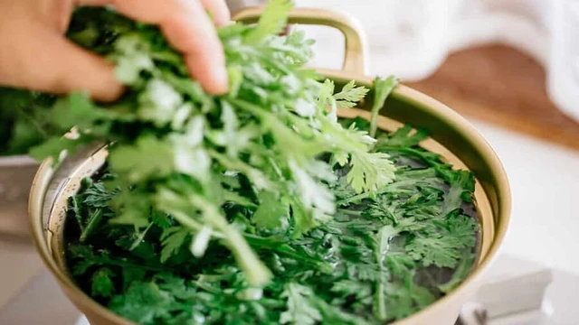 bai-viet/nhung-ai-khong-nen-an-rau-cai-cuc.html